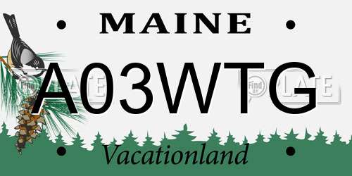 A03WTG Maine License Plate