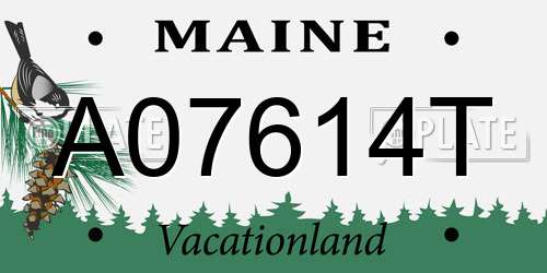 A07614T Maine License Plate