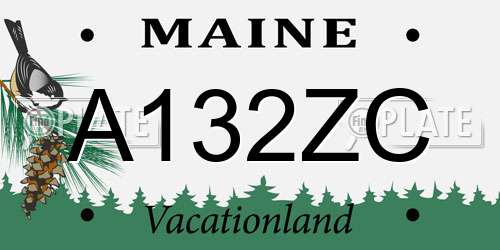 A132ZC Maine License Plate
