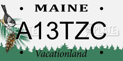 A13TZC Maine License Plate