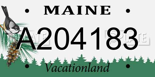 A204183 Maine License Plate