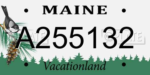 A255132 Maine License Plate