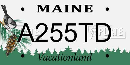 A255TD Maine License Plate