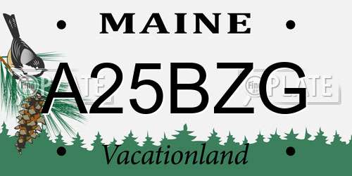 A25BZG Maine License Plate