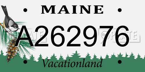 A262976 Maine License Plate