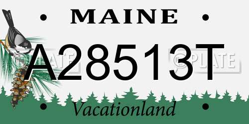 A28513T Maine License Plate