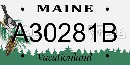 A30281B Maine License Plate
