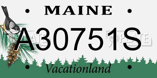 A30751S Maine License Plate