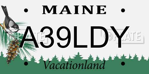 A39LDY Maine License Plate