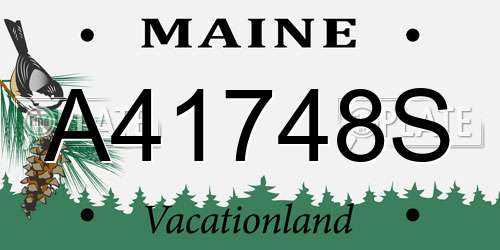 A41748S Maine License Plate