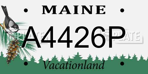 A4426P Maine License Plate