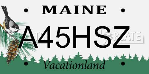 A45HSZ Maine License Plate