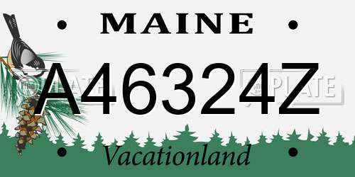 A46324Z Maine License Plate