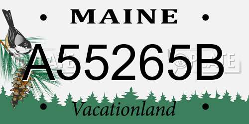A55265B Maine License Plate