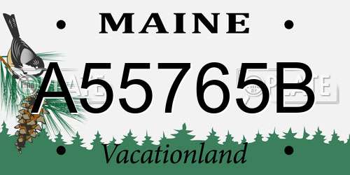 A55765B Maine License Plate