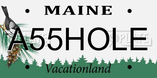 A55HOLE Maine License Plate