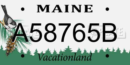 A58765B Maine License Plate