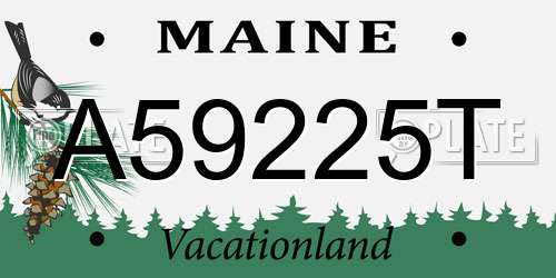 A59225T Maine License Plate