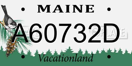 A60732D Maine License Plate