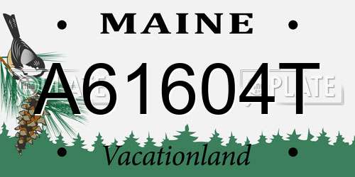 A61604T Maine License Plate