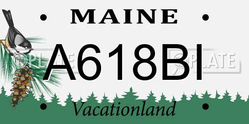 A618BI Maine License Plate