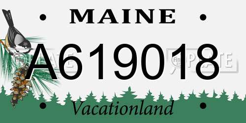 A619018 Maine License Plate