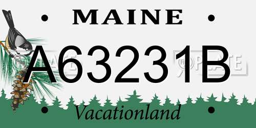 A63231B Maine License Plate