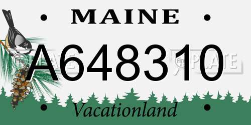A648310 Maine License Plate