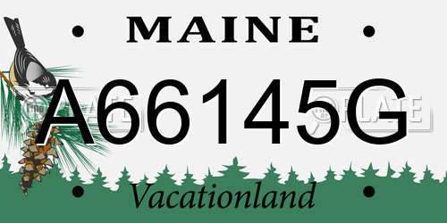 A66145G Maine License Plate