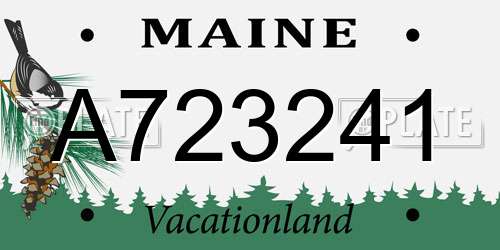 A723241 Maine License Plate