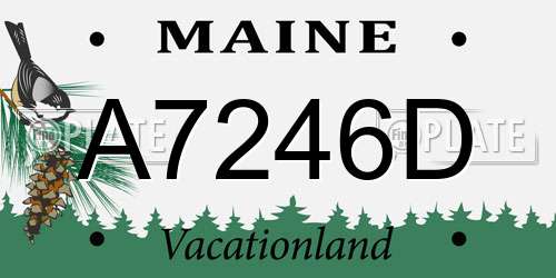 A7246D Maine License Plate
