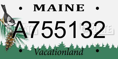 A755132 Maine License Plate