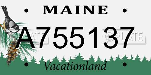 A755137 Maine License Plate