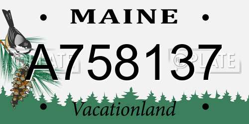A758137 Maine License Plate