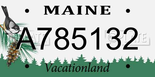 A785132 Maine License Plate