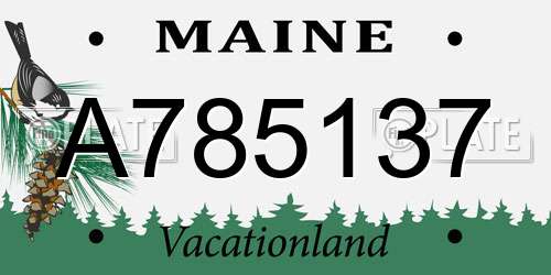 A785137 Maine License Plate