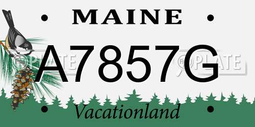 A7857G Maine License Plate