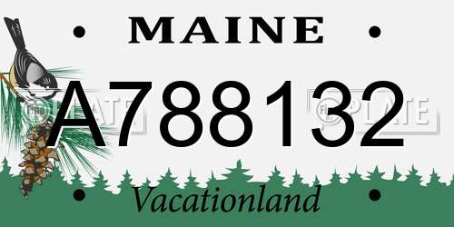 A788132 Maine License Plate