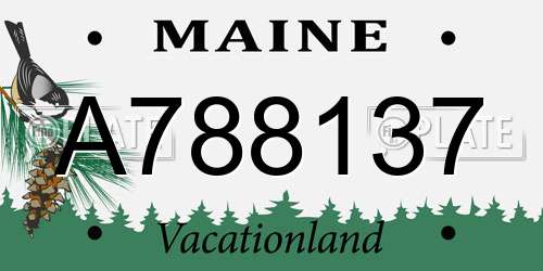 A788137 Maine License Plate