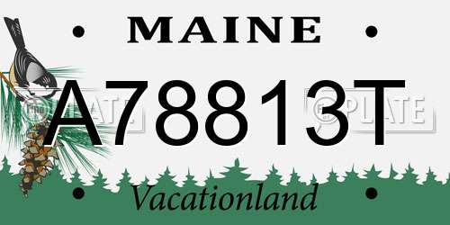 A78813T Maine License Plate