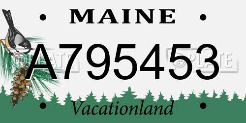 A795453 Maine License Plate