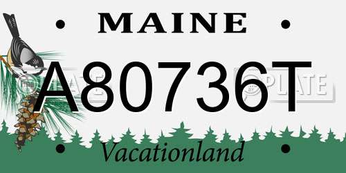 A80736T Maine License Plate