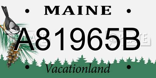A81965B Maine License Plate