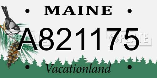 A821175 Maine License Plate