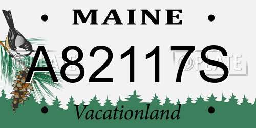 A82117S Maine License Plate