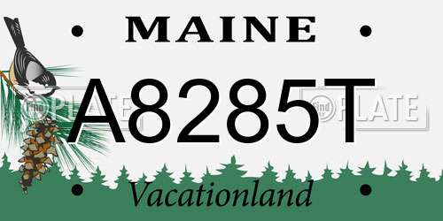 A8285T Maine License Plate