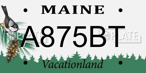 A875BT Maine License Plate