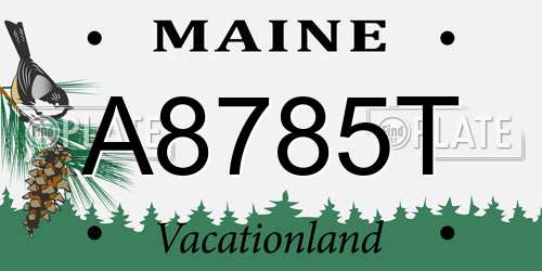 A8785T Maine License Plate