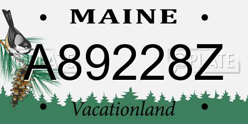 A89228Z Maine License Plate