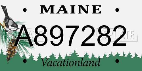 A897282 Maine License Plate